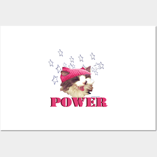 Pink Hat Cat POWER! Posters and Art